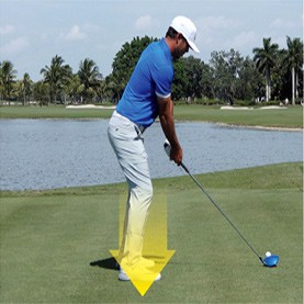 Perfect Golf posture